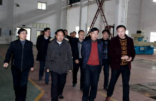 临湘市委书记黄俊钧一行到江南（中国）立体停车设备考察调研 